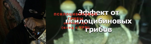 стаф Лагань