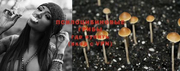 винт Ладушкин