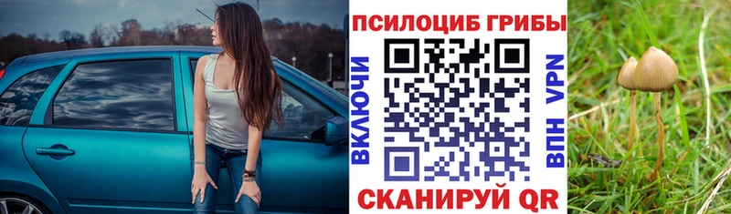 маркетплейс Telegram  Сосновка  Галлюциногенные грибы GOLDEN TEACHER 
